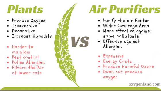 air purifier vs plants table