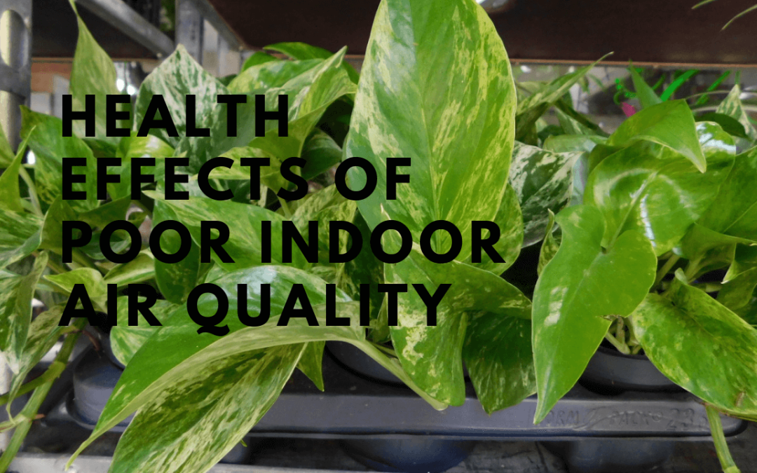 Health Effects of Poor Indoor Air Quality