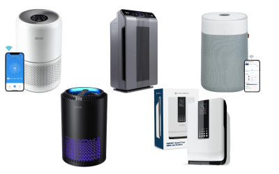 Best Air Purifiers for Home Office