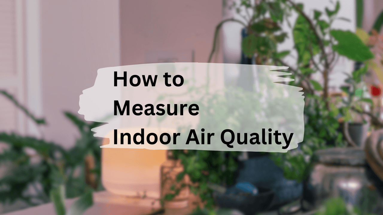 How to Measure Indoor Air Quality Oxygen Land